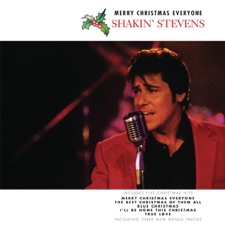 Merry Christmas Everyone artwork