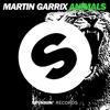 Martin Garrix - Animals (Radio Edit)