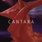 Anima - Cantara, Al Barber, Kerstin Pfau & Claus Schloszer lyrics