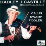 Cajun Swamp Fiddler