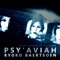 Our Common Future (feat. Kyoko Baertsoen) - Psy'Aviah lyrics