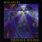 Phoenix Rising Suite - PHOENIX RISING lyrics