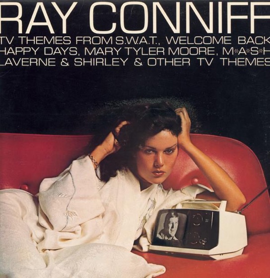 Cover artwork for Theme from S.W.A.T.