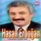 Ali Nerde Dost - Hasan Erdoğan lyrics