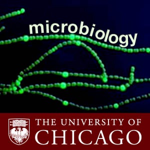 Microbiology cover