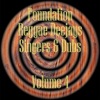 Foundation Deejays Singers & Dubs Vol 4