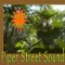 Sonny Perdue’s Raindance - Piper Street Sound lyrics