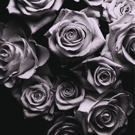 Cover artwork for Orion