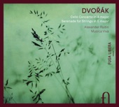 Serenade for Strings in E Major, Op. 22, B. 52: V. Finale, allegro vivace artwork
