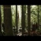 Rain and Thunder - jeff owens lyrics