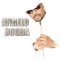 Show Me Ya Face (feat. Oshy & Skippwize) - Angelo Dogba lyrics