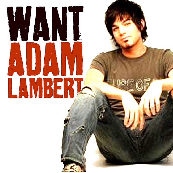 Cover artwork for Want