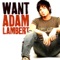 Want - Single
