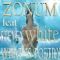 What Is Poetry (Zonum Dub) - Zonum lyrics