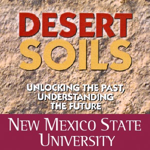 Desert Soils Unlocking the Past, Understanding the Future cover