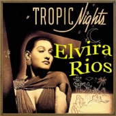 Tropic Nights artwork