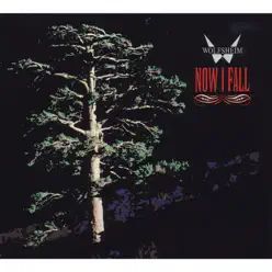 Now I Fall - Single - Wolfsheim