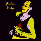 Sielun Veljet (Live) artwork