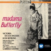 Puccini: Madama Butterfly artwork