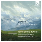 Clarinet Quintet in B Minor, Op. 115: I. Allegro artwork