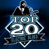 Top 20 Electric Blues