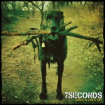 7seconds - My Aim Is You