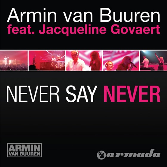 Cover artwork for Never Say Never