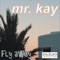 Fly Away (Radio Edit) - Mr. Kay lyrics