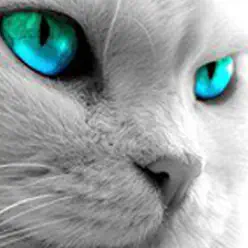 Eyes On U (Peter Rauhofer Remix) - Single - Tina Eyes On U (Peter Rauhofer Remix) - Single - Tina