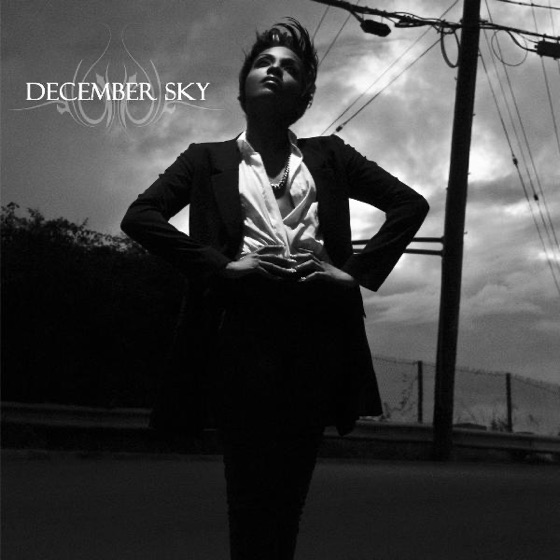 Cover artwork for December Sky