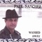 Canal Street - Paul Sanchez lyrics