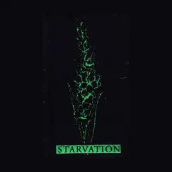 Starvation - Single by Prurient album reviews, ratings, credits