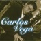 Que Voy a Hacer Contigo - Carlos Vega lyrics