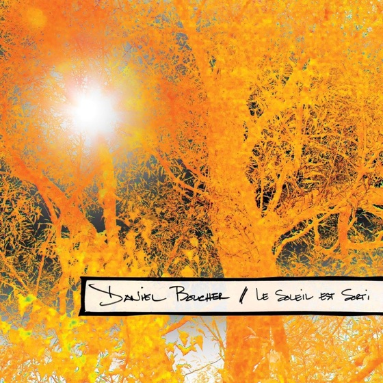 Cover artwork for Le soleil est sorti