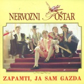 Zapamti, Ja Sam Gazda artwork