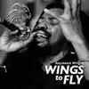 Wings to Fly - Single album lyrics, reviews, download
