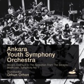 Symphony No. 7 in A Major, Op. 92: IV. Allegro con brio artwork