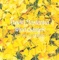 Wind Quintet No. 1: I. Quarter Note = 104 - Missouri Quintet lyrics