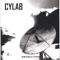 His Lost Reflection - Cylab lyrics