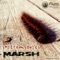 Marsh - Spectrasonics lyrics