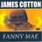 Fooled Around and Fell In Love - James Cotton lyrics