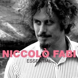 NICCOLO` FABI