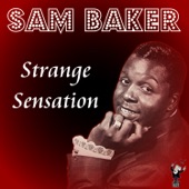Sam Baker - Sugarman
