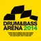 Drum & Bass Arena 2014 (Continuous Mix 1) artwork