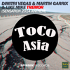 Tremor (Sensation 2014 Anthem) - Martin Garrix & Dimitri Vegas & Like Mike