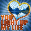 You Light Up My Life artwork