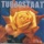 Turbostaat-Schwan