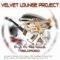 You Broke My Heart - Velvet Lounge Project lyrics