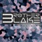 Pavement - Brother Blake lyrics
