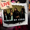 Kings of Leon - Molly's Chambers